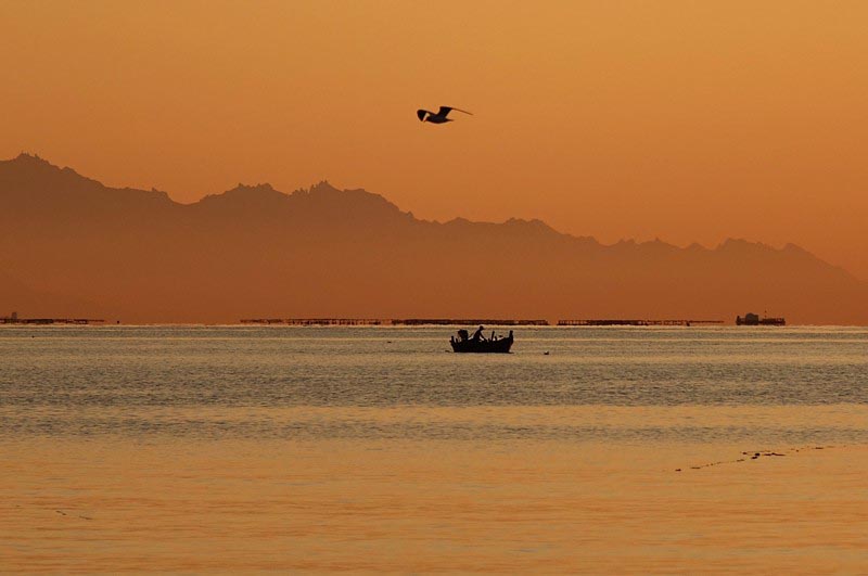 L'innovation scientifique contribue à l'industrie maritime