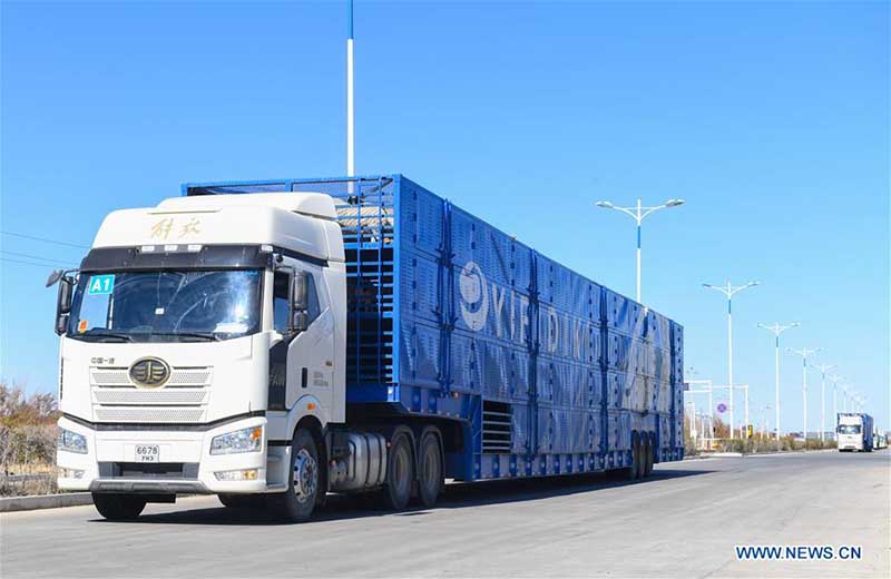 Des moutons donnés par la Mongolie arrivent dans une ville frontalière du nord de la Chine