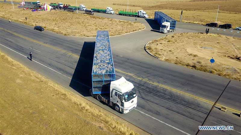 Des moutons donnés par la Mongolie arrivent dans une ville frontalière du nord de la Chine