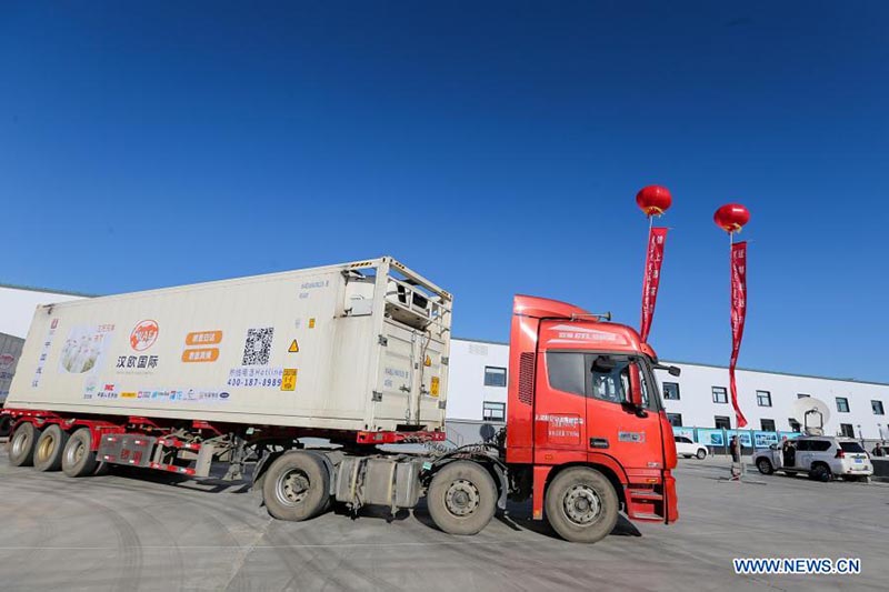 Chine : des moutons donnés par la Mongolie arriveront prochainement à Wuhan