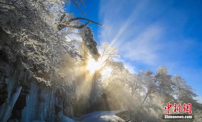 Sichuan : un paysage magnifique d'hiver appara?t avec les premières neiges à Ya'an