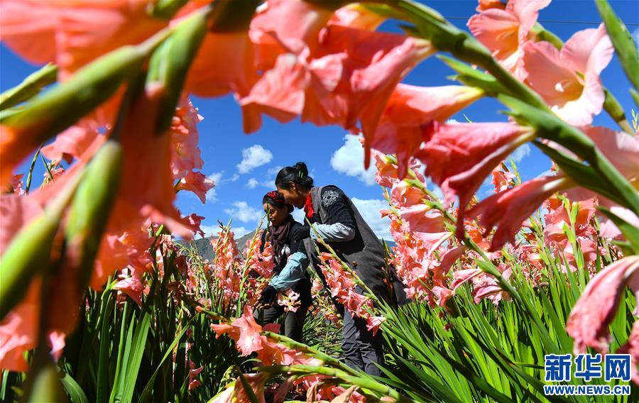 Le Tibet enregistre le taux de croissance du PIB le plus élevé de toute la Chine