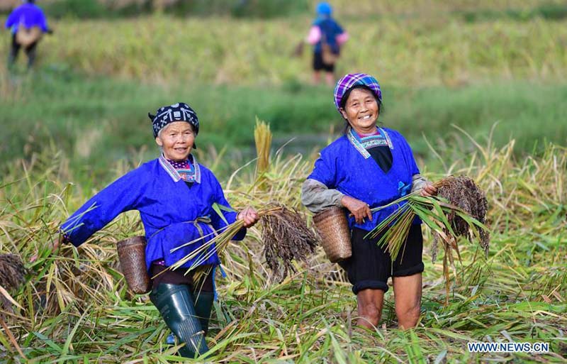 Le patrimoine culturel aide les groupes ethniques d'un comté du sud de la Chine à sortir de la pauvreté