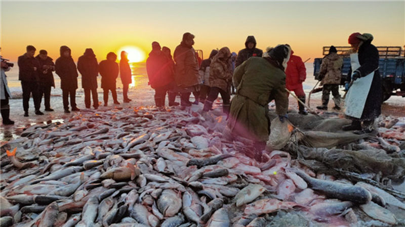 Une pêche massive de poissons sur un lac gelé de la province du Jilin