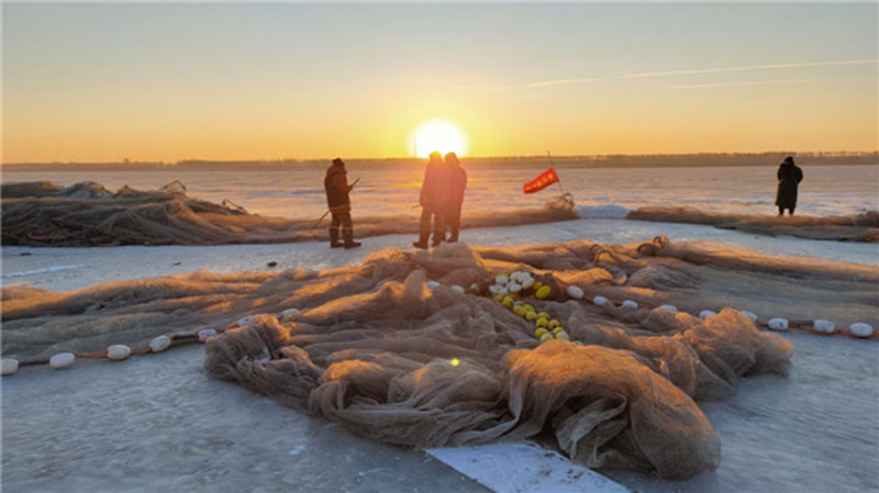 Une pêche massive de poissons sur un lac gelé de la province du Jilin