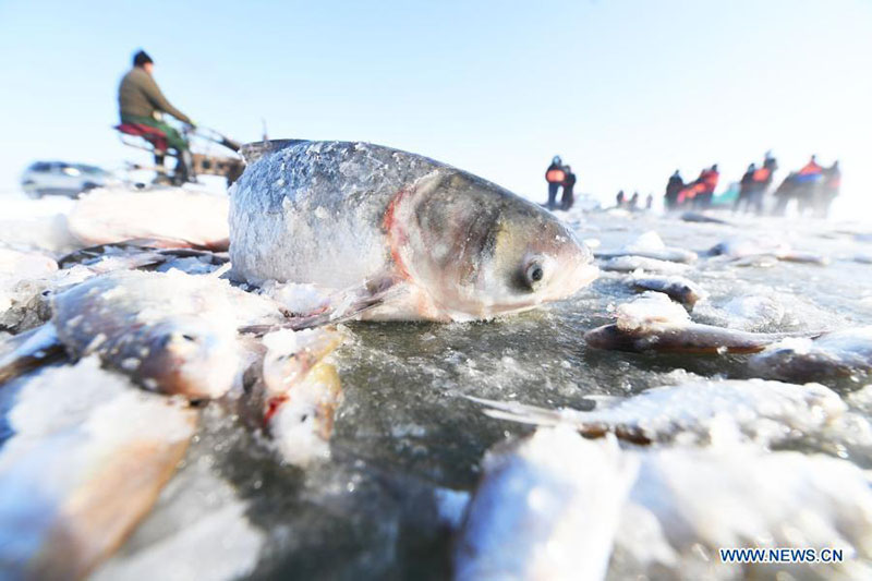 La pêche hivernale dans la région autonome ou?ghoure du Xinjiang