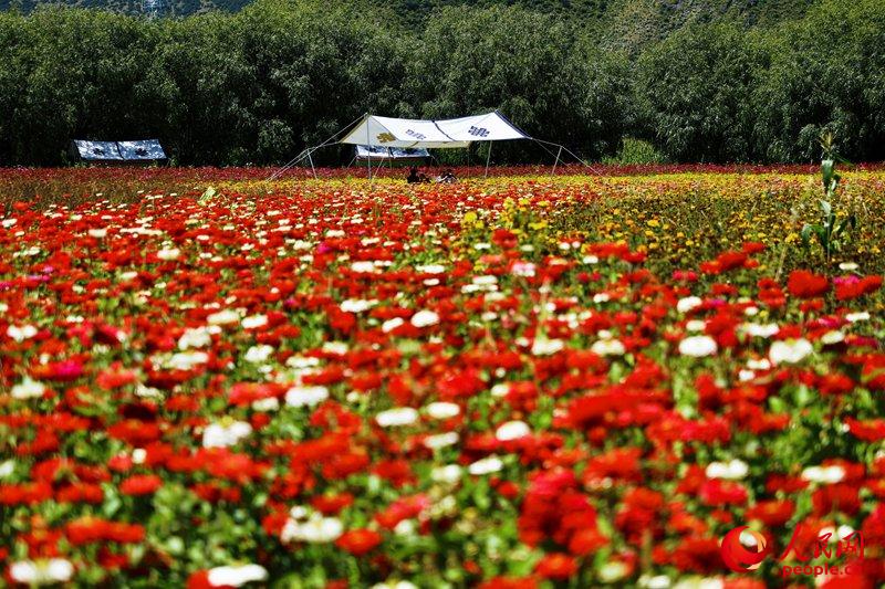 Linzhi, ville pittoresque du Tibet