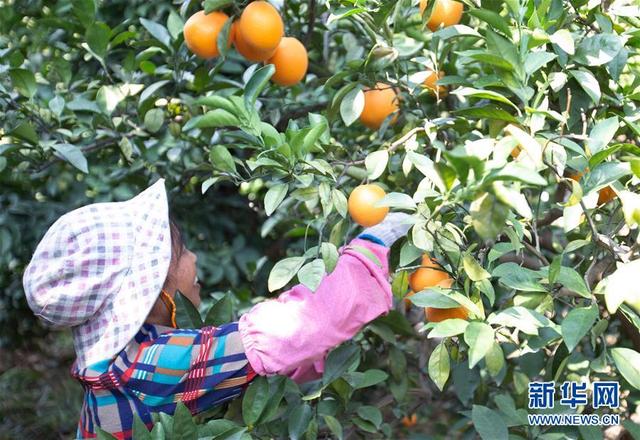 La Chine, exemple de l'éradication de la pauvreté dans le monde