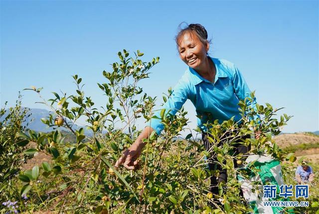 La Chine, exemple de l'éradication de la pauvreté dans le monde