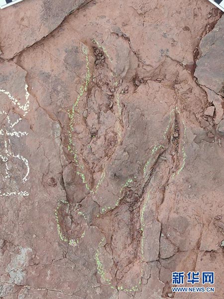 Des scientifiques découvrent plus de 240 empreintes de dinosaures dans le sud-est de la Chine