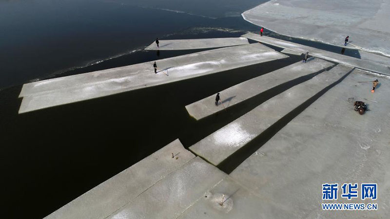 Hebei : les agriculteurs collectent de la glace pour les bateaux de pêche