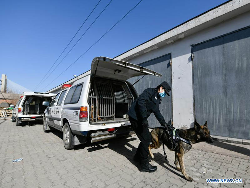 Les chiens policiers rejoignent les patrouilles dans les gares pour assurer la sécurité des passagers