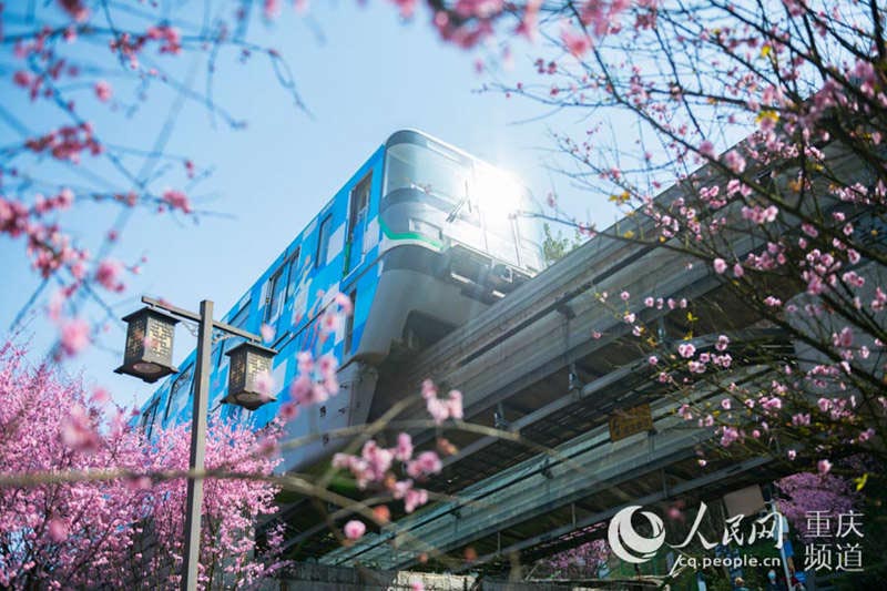 Chongqing : des trains à destination du printemps