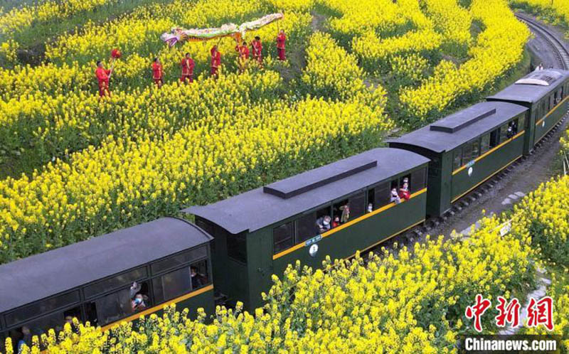 Un petit train à destination du printemps dans le Sichuan