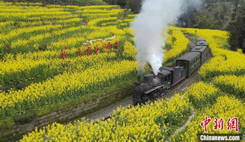 Un petit train à destination du printemps dans le Sichuan