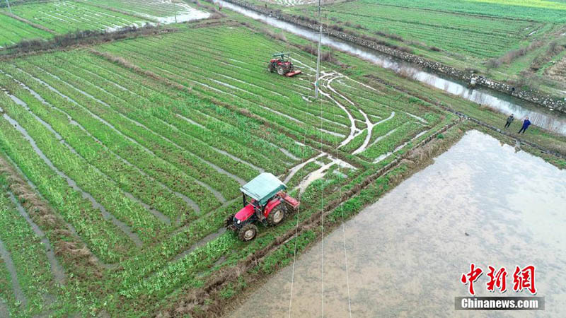 Les travaux agricoles du printemps ont commencé dans le sud de la Chine, des photos aériennes montrent des champs pleins de vie