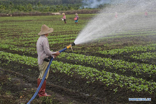 Un laboratoire national de sélection des semences proposé pour le port franc de Hainan