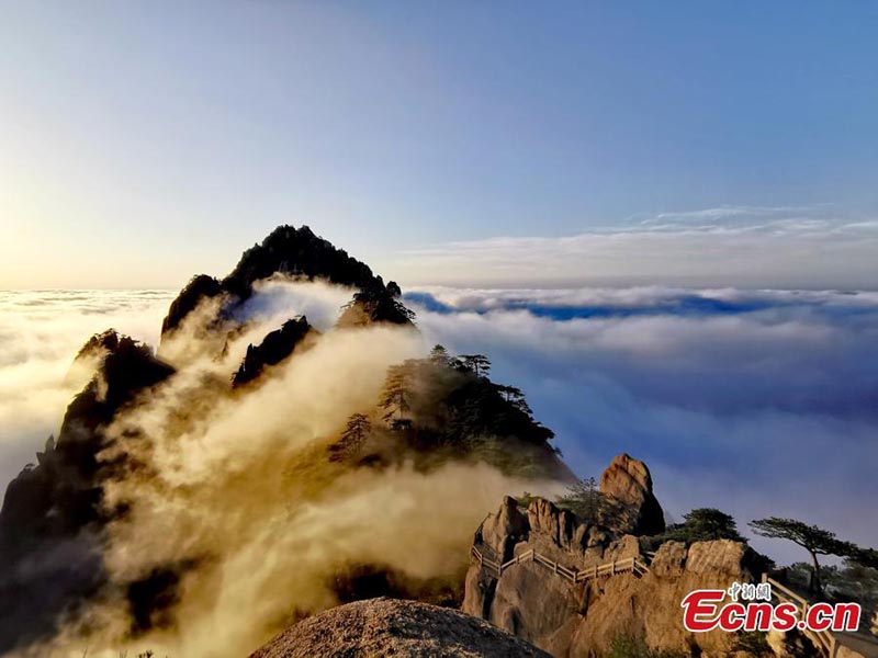 Paysage de mer de nuages sur les monts Huangshan