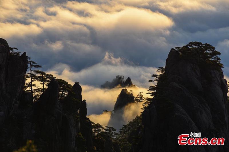 Paysage de mer de nuages sur les monts Huangshan