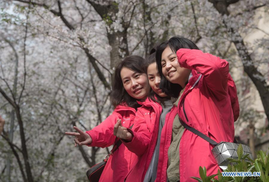 Wuhan invite les travailleurs médicaux du pays à profiter de la saison des cerisiers en fleurs