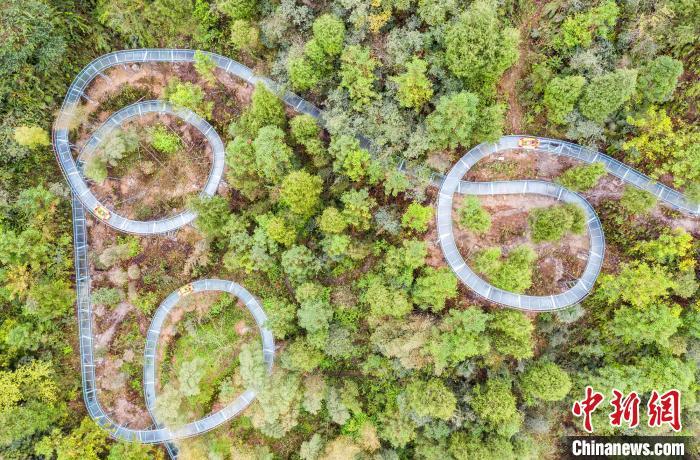 Un toboggan aquatique en verre de rêve stimule le tourisme dans le centre de la Chine