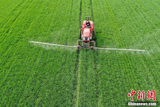 L'agriculture de printemps chinoise passe à la hi-tech grace aux technologies et aux machines agricoles modernes