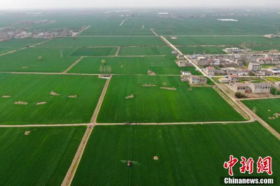 L'agriculture de printemps chinoise passe à la hi-tech grace aux technologies et aux machines agricoles modernes