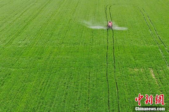 L'agriculture de printemps chinoise passe à la hi-tech grace aux technologies et aux machines agricoles modernes