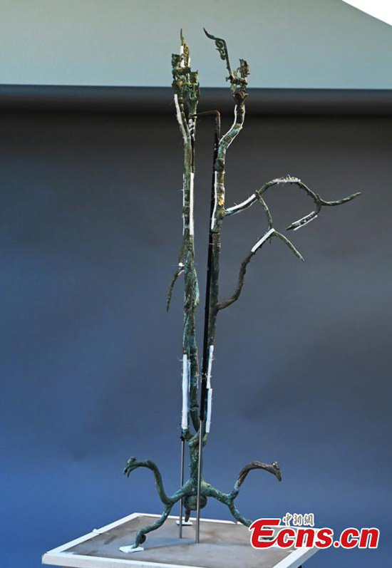 Une sculpture d'arbre en bronze provenant des ruines de Sanxingdui a été restaurée