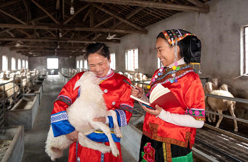 Le Zhejiang ?uvre pour construire la zone de démonstration de la prospérité commune par le développement de haute qualité