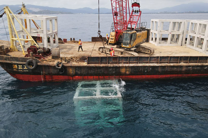 Chine : ferme marine à Sanya