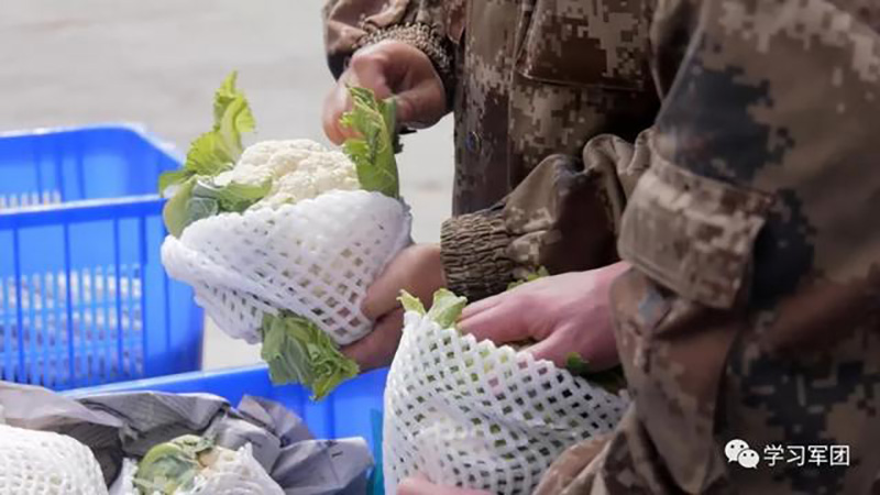 Les soldats de l'APL au Tibet ont accès à des produits frais vendus sur une application de livraison de nourriture