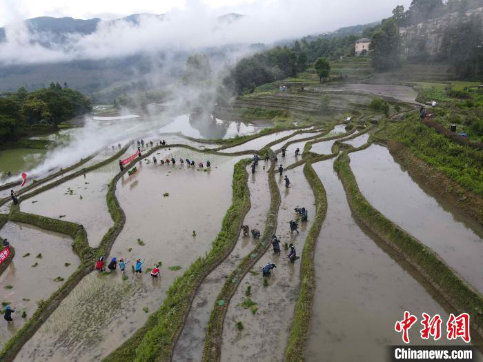 Yunnan : les rizières en terrasse des Hani de Yuanyang ? ouvrent la porte de la plantation du riz ? pour prier pour une bonne récolte