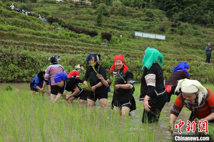 Yunnan : les rizières en terrasse des Hani de Yuanyang ? ouvrent la porte de la plantation du riz ? pour prier pour une bonne récolte