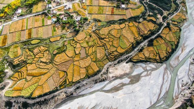 La Chine stabilisera la production céréalière et assurera la sécurité alimentaire