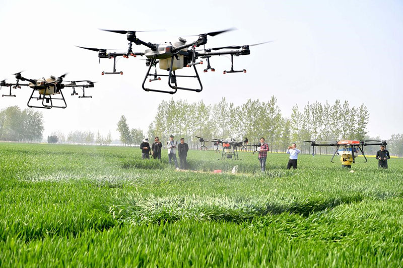 Le revenu des agriculteurs chinois n'a cessé d'augmenter