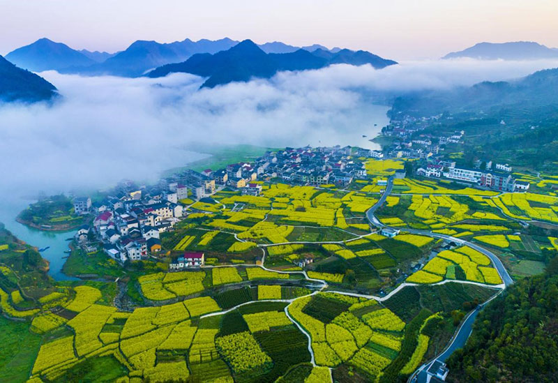 Le revenu des agriculteurs chinois n'a cessé d'augmenter