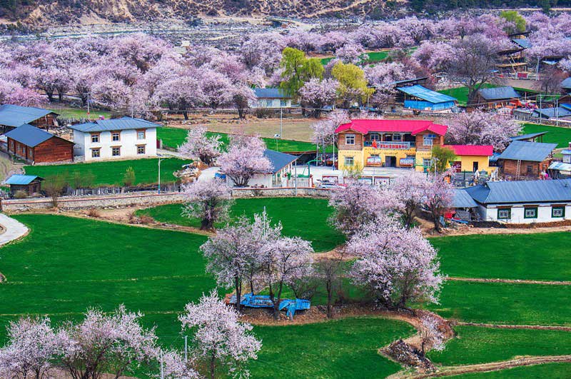 Les grands changements historiques se sont produits à la région autonome du Tibet