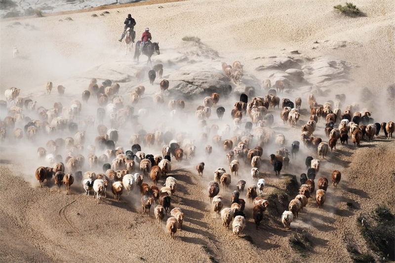 En route pour les paturages d'été au Xinjiang