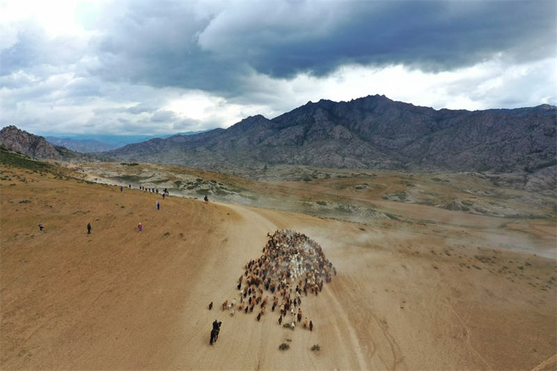 En route pour les paturages d'été au Xinjiang