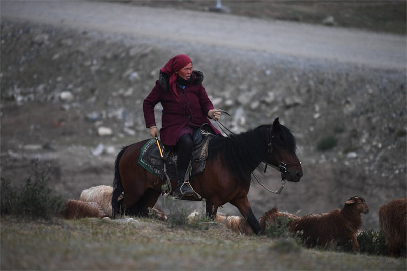 En route pour les paturages d'été au Xinjiang