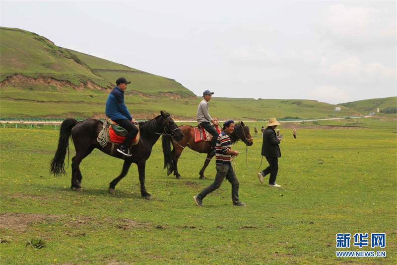 Gansu : la prairie de Langdu au début de l'été