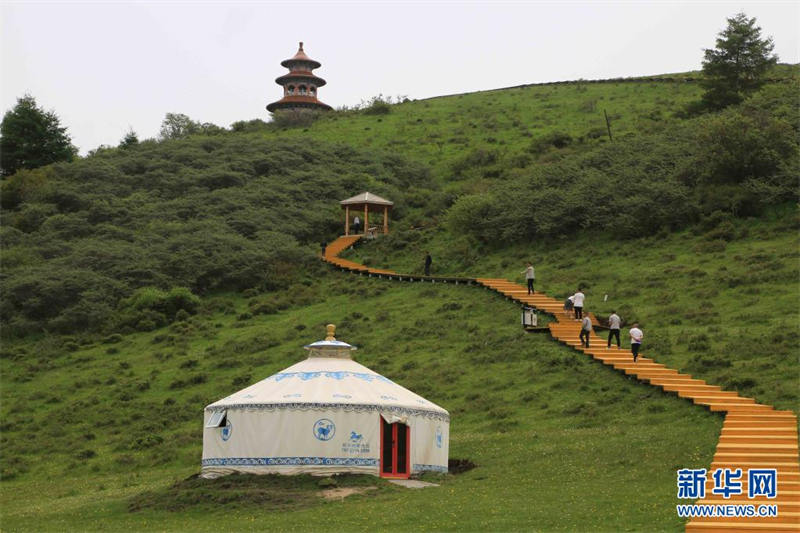 Gansu : la prairie de Langdu au début de l'été