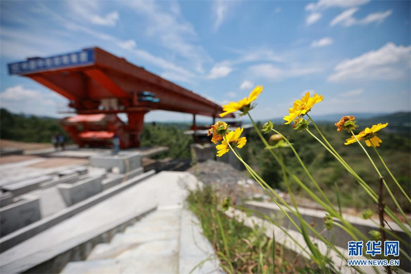 Un pont historique et le train à grande vitesse : une rencontre qui dépasse la distance temporelle