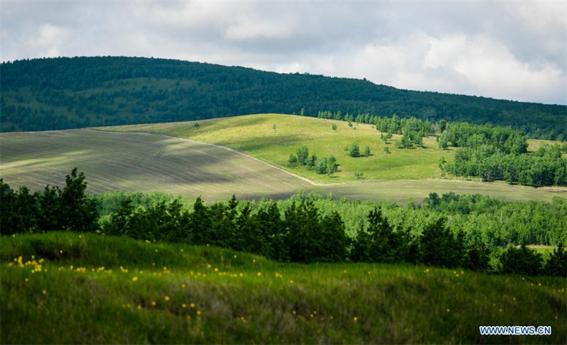 Paysage de prairie en Mongolie intérieure