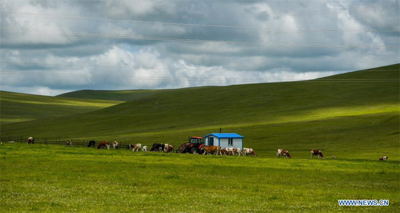 Paysage de prairie en Mongolie intérieure