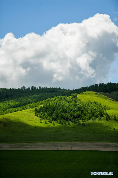 Paysage de prairie en Mongolie intérieure