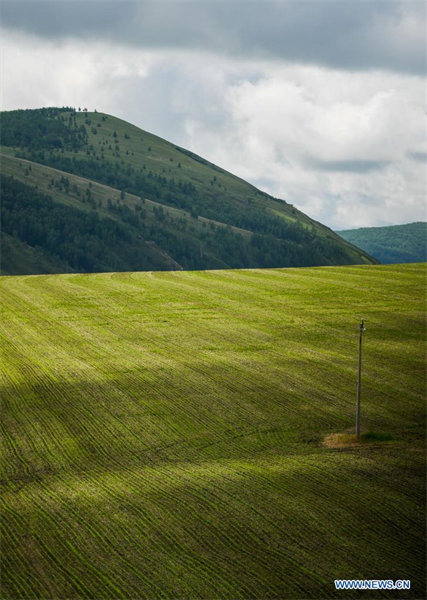 Paysage de prairie en Mongolie intérieure