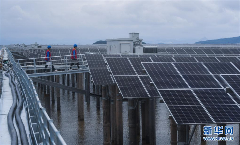 Zhejiang: la convergence de la pêche et de l'énergie photovolta?que se développe sur une grande vasière