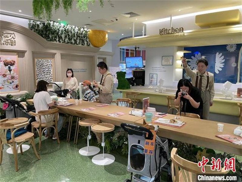 Ouverture d'un premier restaurant pour animaux de compagnie à Shanghai